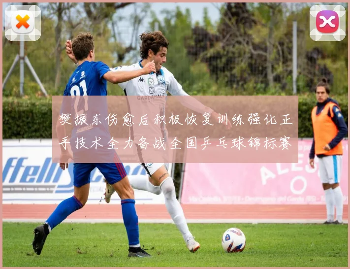 樊振东伤愈后积极恢复训练强化正手技术全力备战全国乒乓球锦标赛